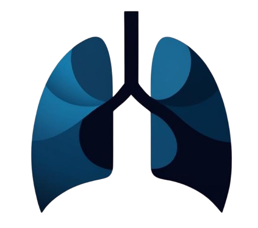 Logo Typix